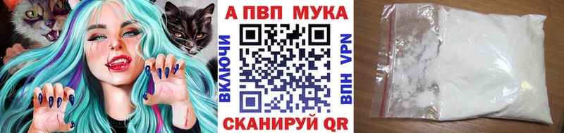 blacksprut ссылка  Южа  A PVP СК 