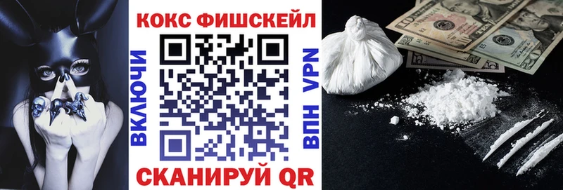 цены наркотик  Южа  Кокаин Эквадор 
