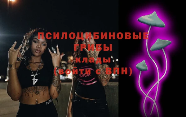 молекула духа Новодвинск