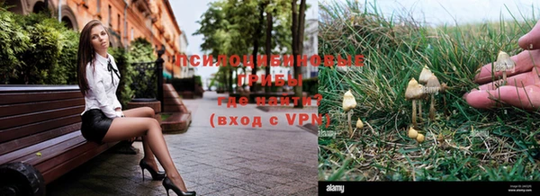 а пвп мука Нея