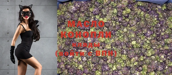 молекула духа Новодвинск